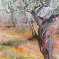“Olive Tree, Tuscany” Oil on Canvas 24” x 24”