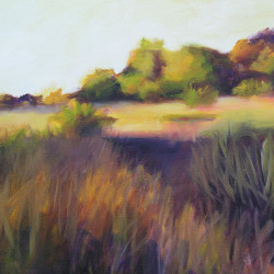 “Rock Meadow – Summer Afternoon” Oil on Canvas 16” x 20”