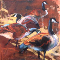 Geese 2, Oil on Canvas 18" x 24"